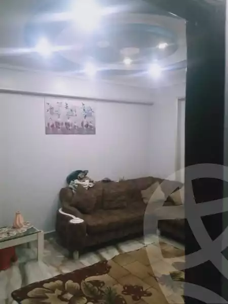 https://aqarmap.com.eg/ar/listing/6079360-for-sale-alexandria-l-jmy-lbytsh-el-hoda-st