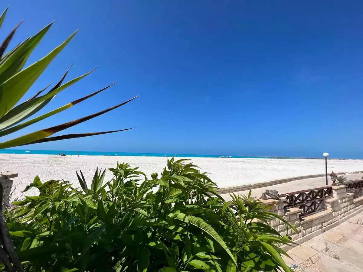 https://aqarmap.com.eg/ar/listing/6085954-for-rent-north-coast-el-alamein-marina-el-alamein
