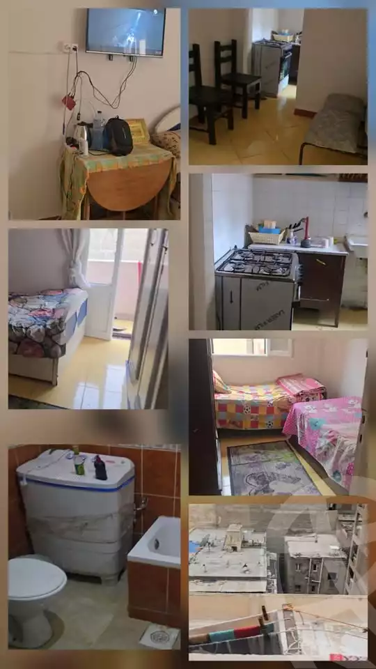 https://aqarmap.com.eg/ar/listing/6088167-for-rent-alexandria-miami-khld-bn-lwlyd