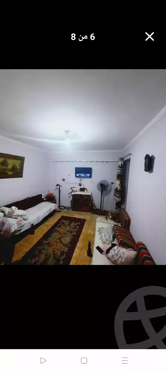 https://aqarmap.com.eg/ar/listing/6088812-for-sale-alexandria-l-jmy-lbytsh-al-kaada-st