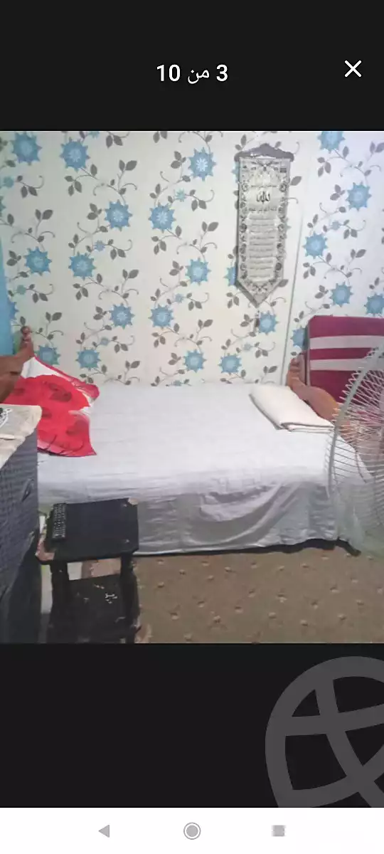 https://aqarmap.com.eg/ar/listing/6089351-for-sale-alexandria-l-jmy-lbytsh-el-hanafeya-st