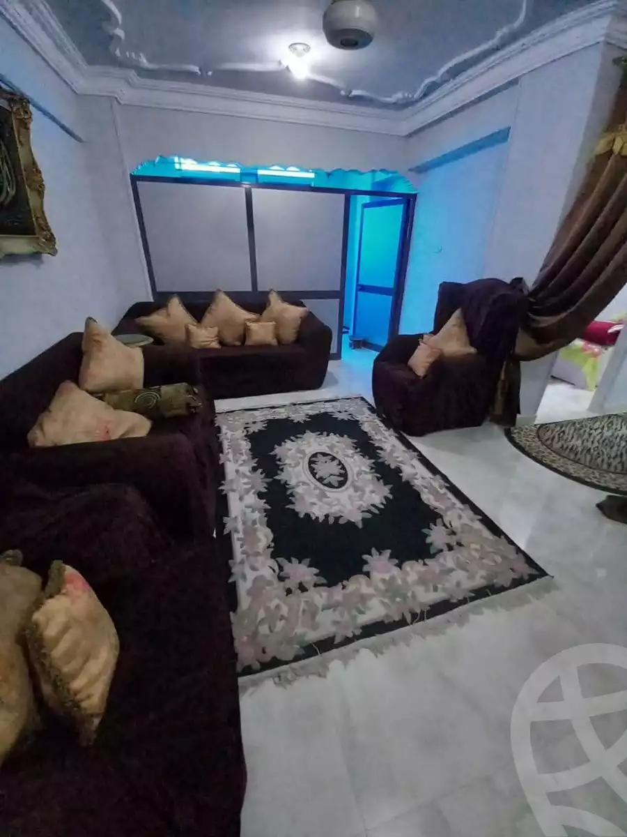 https://aqarmap.com.eg/en/listing/6091476-for-rent-suez-suez-city