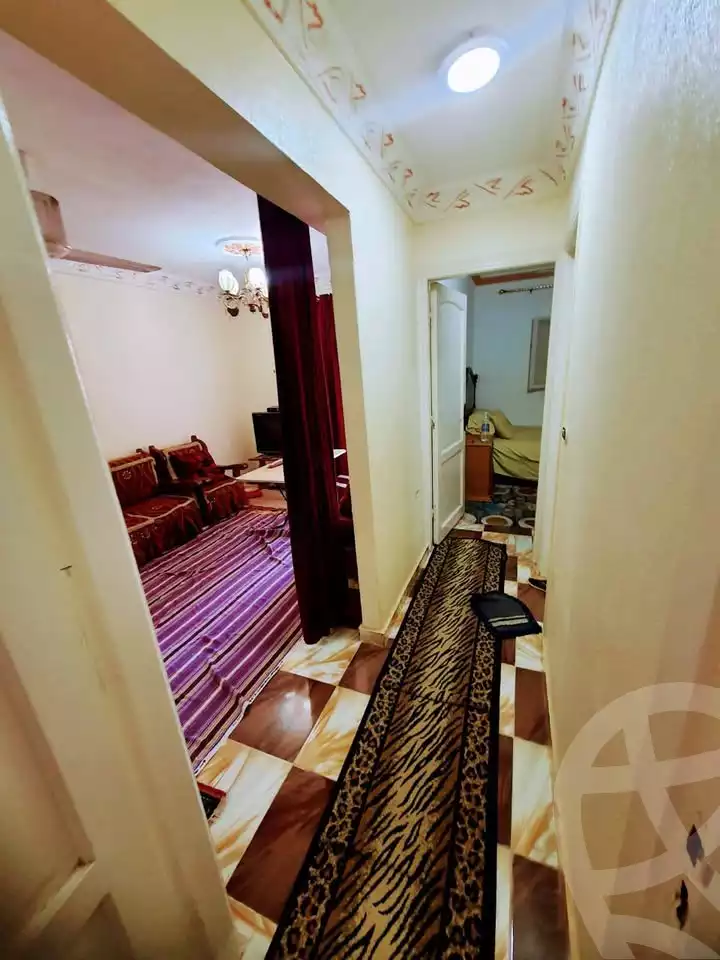 https://aqarmap.com.eg/en/listing/6094347-for-sale-alexandria-l-jmy-shataa-el-nakheel