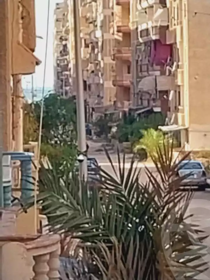 https://aqarmap.com.eg/ar/listing/6099392-for-sale-alexandria-l-jmy-shataa-el-nakheel-armed-forces-buildings