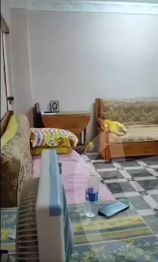 https://aqarmap.com.eg/en/listing/6099896-for-sale-alexandria-l-jmy-el-hanouvel-hussein-waly-st