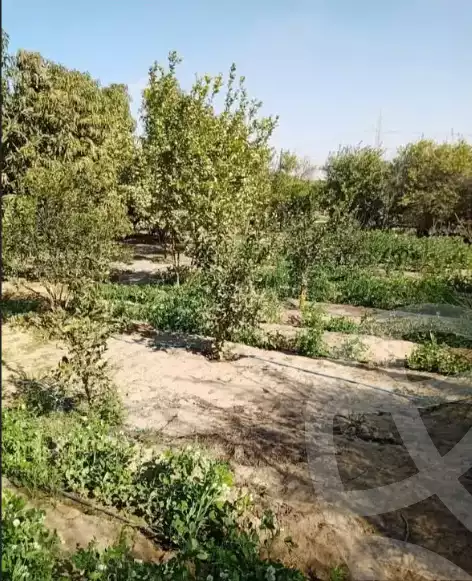 https://aqarmap.com.eg/en/listing/6101953-for-sale-ismailia-el-qantara