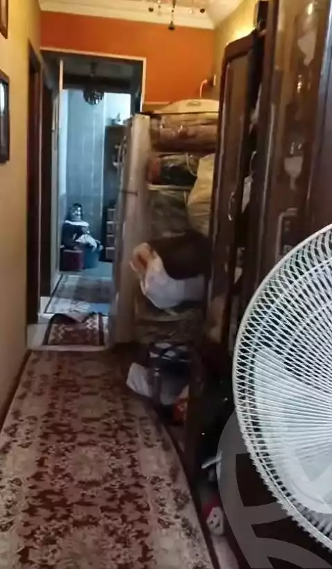 https://aqarmap.com.eg/en/listing/6102679-for-sale-cairo-ain-shams-ahmed-esmat-st