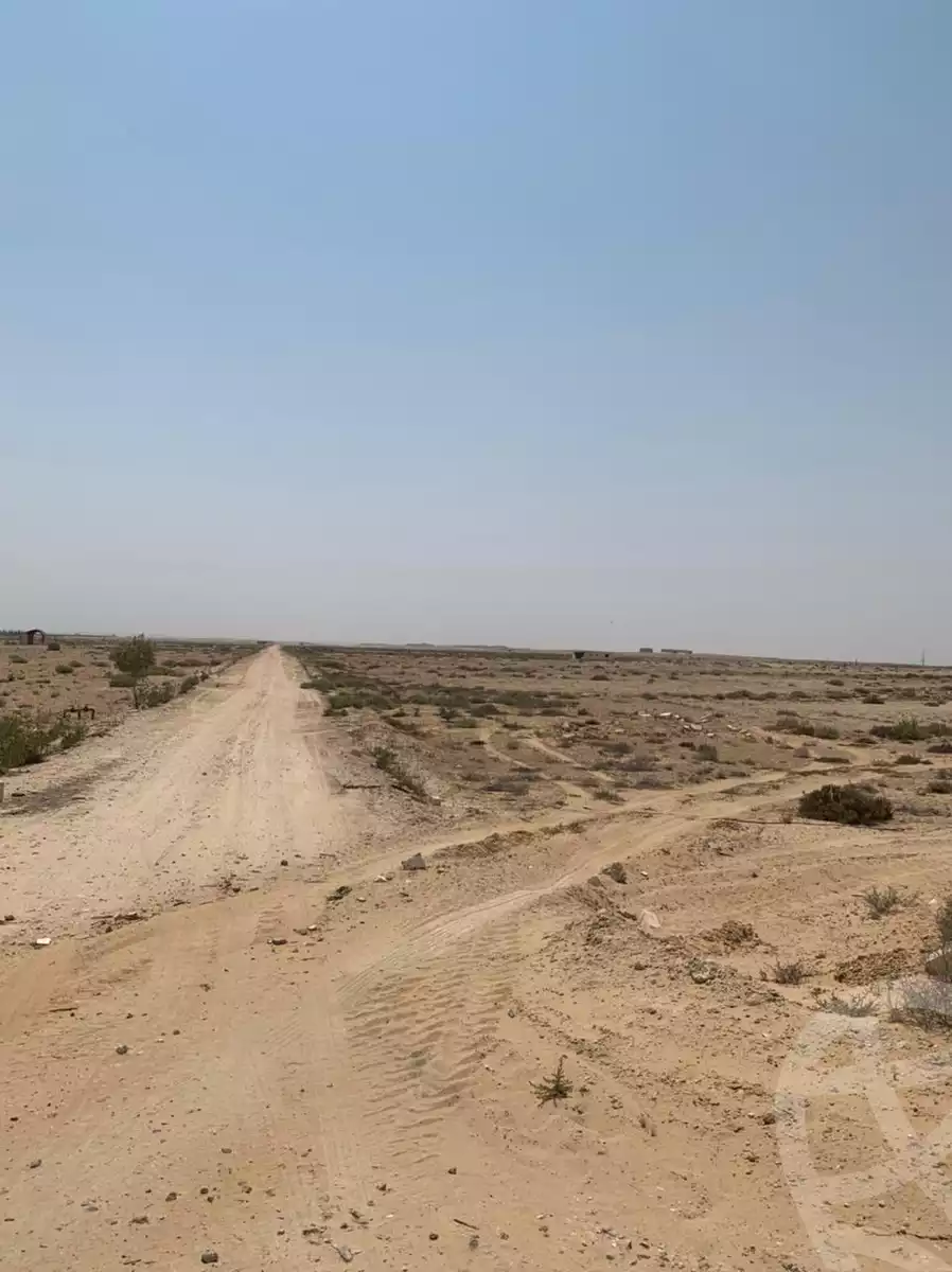 https://aqarmap.com.eg/en/listing/6105257-for-sale-beheira-wadi-el-natrun-bany-salama