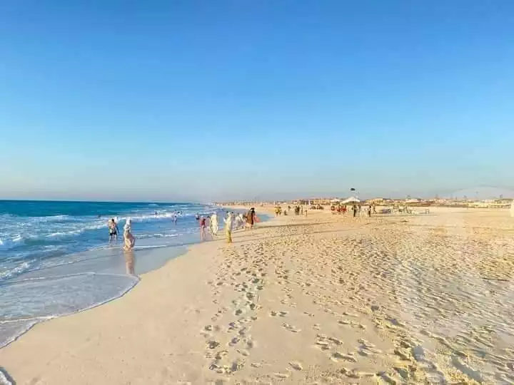 https://aqarmap.com.eg/ar/listing/6105906-for-rent-north-coast-resorts-lotus-village