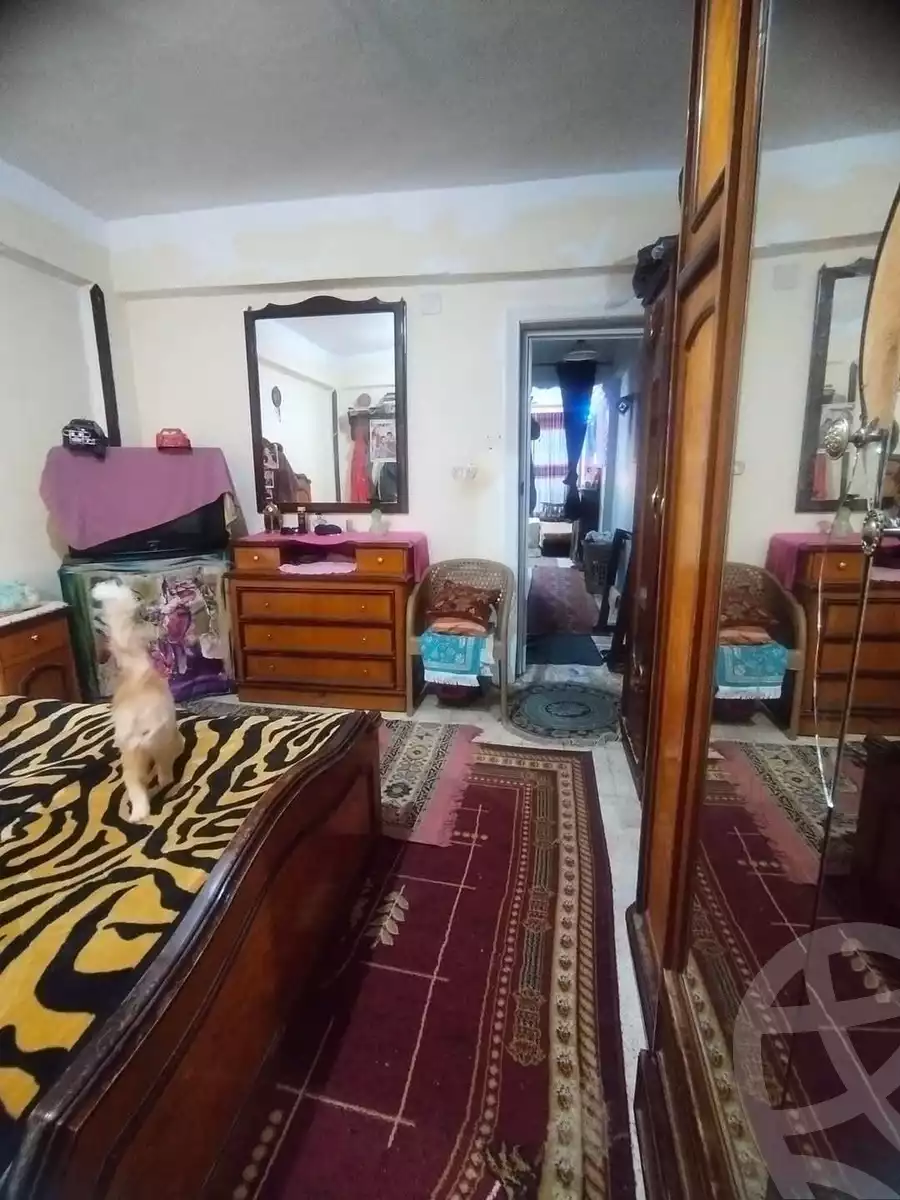 https://aqarmap.com.eg/en/listing/6102521-for-sale-alexandria-l-jmy-lbytsh-el-hay-st
