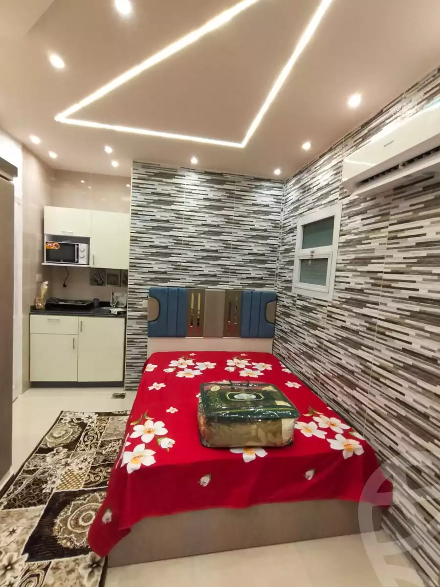 https://aqarmap.com.eg/en/listing/6023002-for-rent-cairo-nasr-city