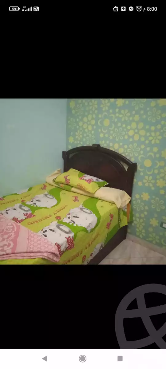 https://aqarmap.com.eg/en/listing/6108849-for-rent-alexandria-miami-khld-bn-lwlyd