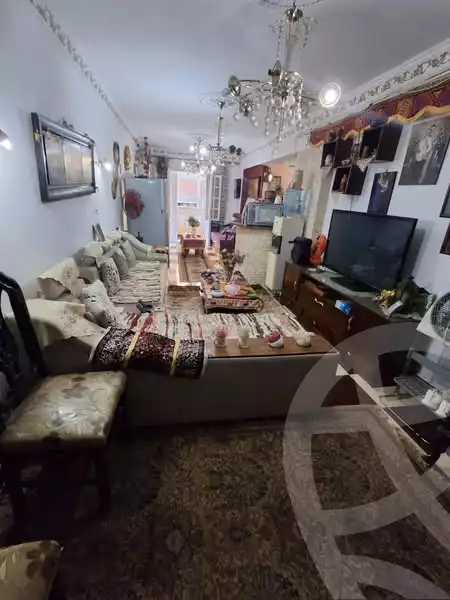 https://aqarmap.com.eg/ar/listing/6109010-for-sale-alexandria-l-jmy-lbytsh-al-aeda-al-kadema-st