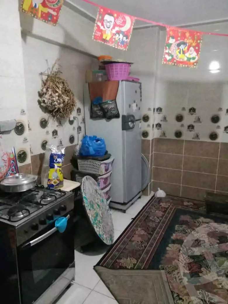 https://aqarmap.com.eg/en/listing/6109258-for-sale-alexandria-l-jmy-lbytsh-mohamed-el-fardi-st