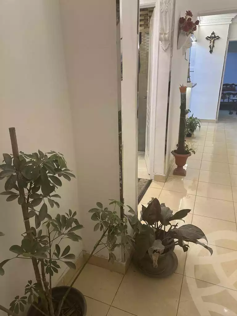 https://aqarmap.com.eg/en/listing/6120053-for-sale-cairo-shoubra-el-sahel-shobra-st