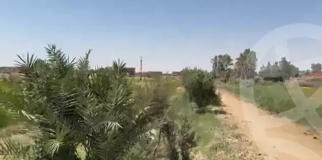 https://aqarmap.com.eg/en/listing/6122502-for-sale-sohag-mdyn-swhj-ljdyd