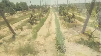 https://aqarmap.com.eg/en/listing/6132813-for-sale-beheira-wadi-el-natrun