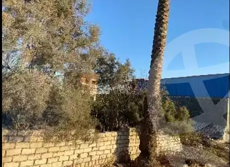 https://aqarmap.com.eg/en/listing/6134243-for-sale-alexandria-lsywf-el-seyouf-qebly-el-ras-el-souda