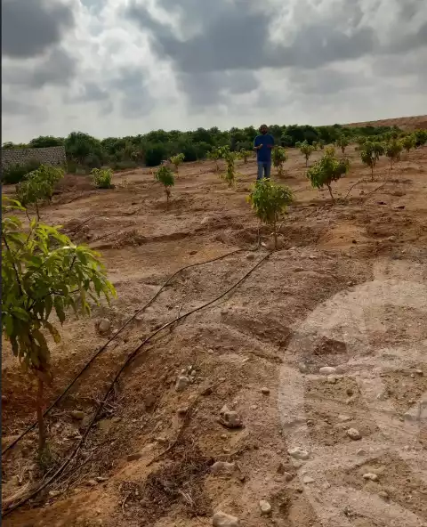 https://aqarmap.com.eg/en/listing/6134246-for-sale-suez-faisal