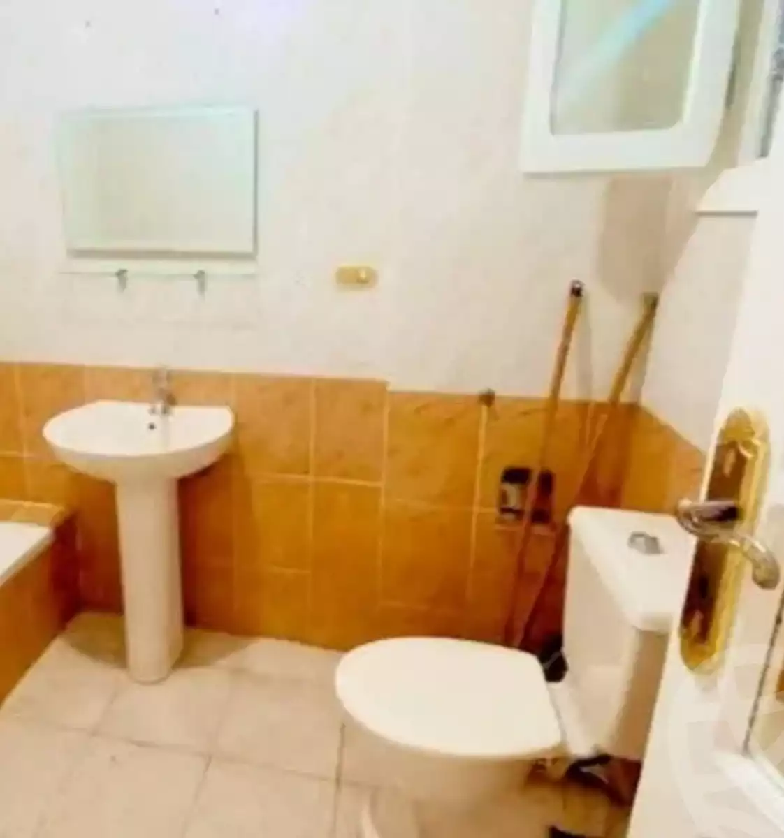 https://aqarmap.com.eg/en/listing/6134529-for-rent-alexandria-miami-street-57
