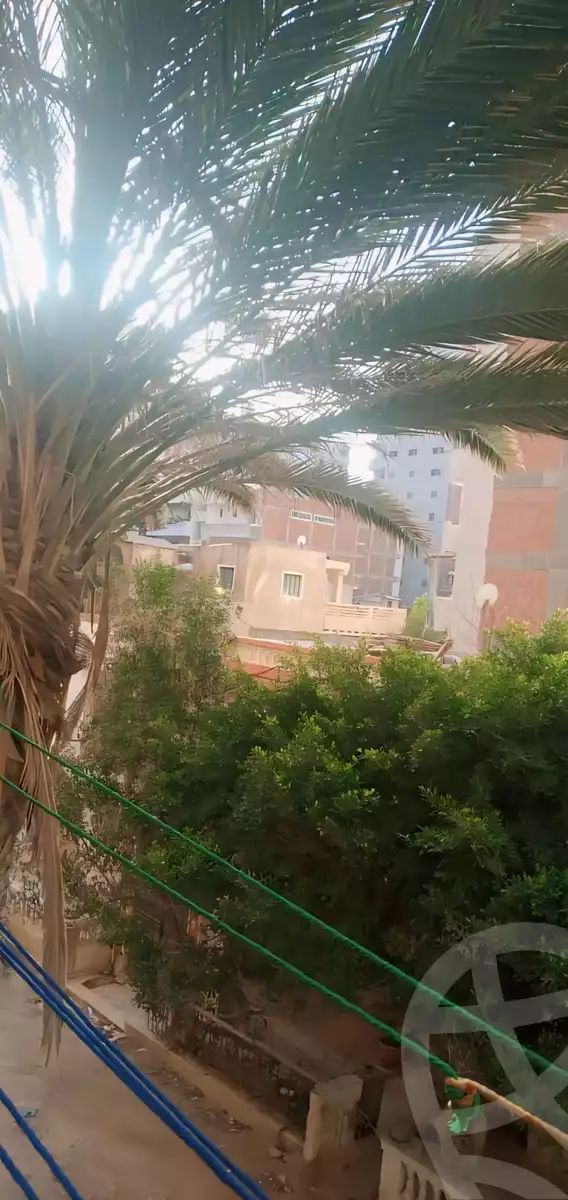 https://aqarmap.com.eg/en/listing/6137737-for-sale-alexandria-l-jmy-lbytsh-al-nouqrashi-st