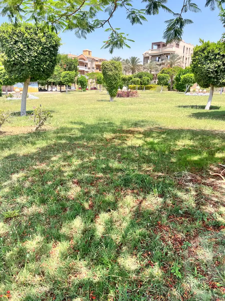 https://aqarmap.com.eg/ar/listing/6139210-for-rent-cairo-new-cairo-ganob-el-akadamiya-south-academy-h-el-shaheed-mohamed-zrd-st