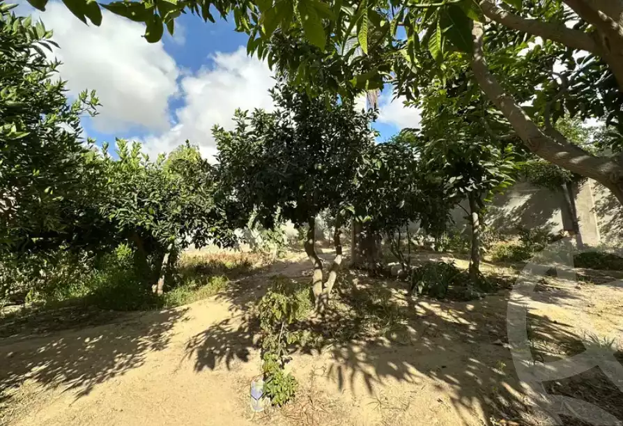 https://aqarmap.com.eg/en/listing/6140166-for-sale-alexandria-borg-el-arab