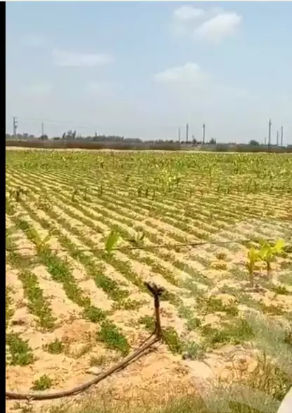 https://aqarmap.com.eg/en/listing/6140275-for-sale-beheira-badr