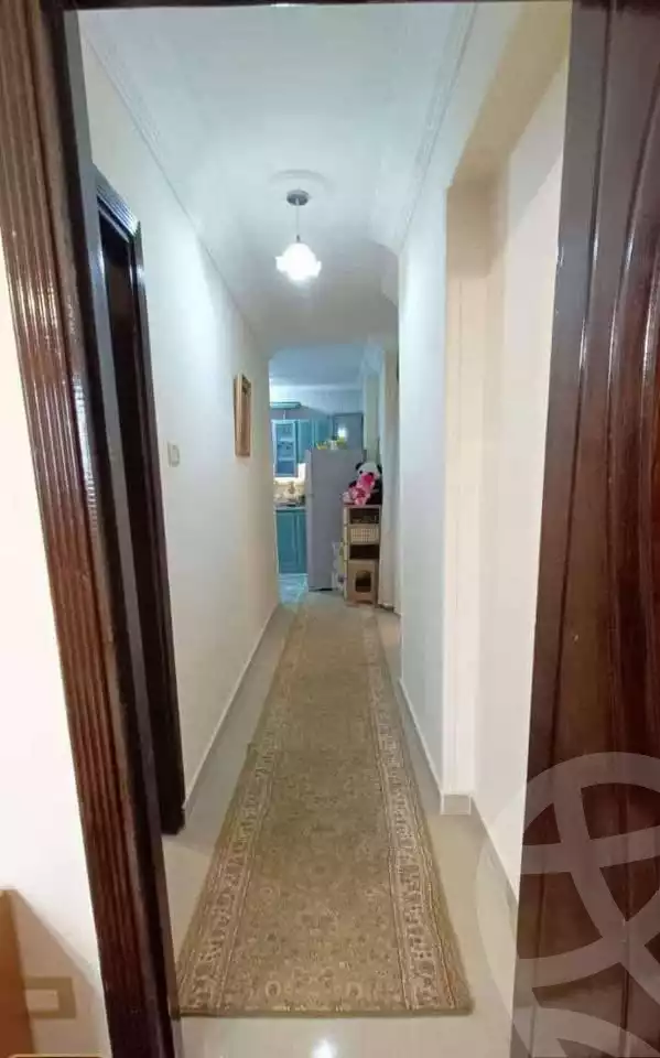https://aqarmap.com.eg/en/listing/6141227-for-rent-alexandria-ganaklis-el-morsaleen-el-american-st