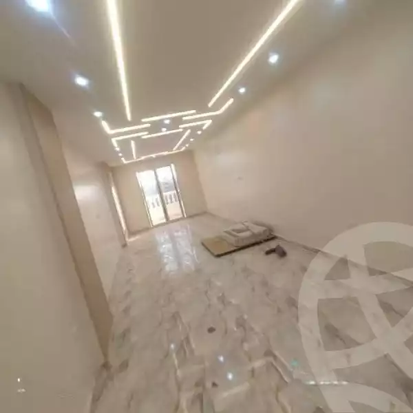 https://aqarmap.com.eg/en/listing/6147790-for-rent-cairo-faisal