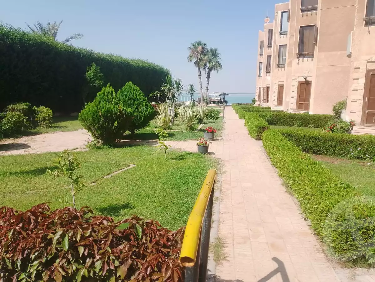 https://aqarmap.com.eg/ar/listing/6149788-for-rent-ismailia-fayed-al-sawhel-st
