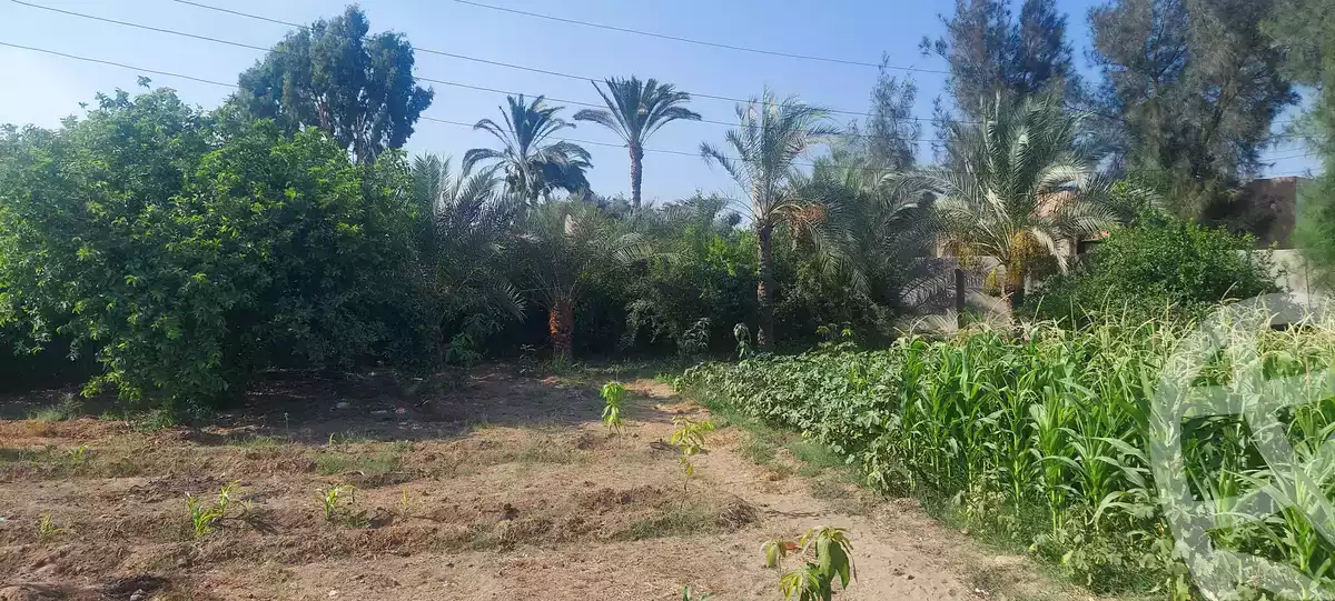 https://aqarmap.com.eg/en/listing/6153287-for-sale-ismailia-kassassin