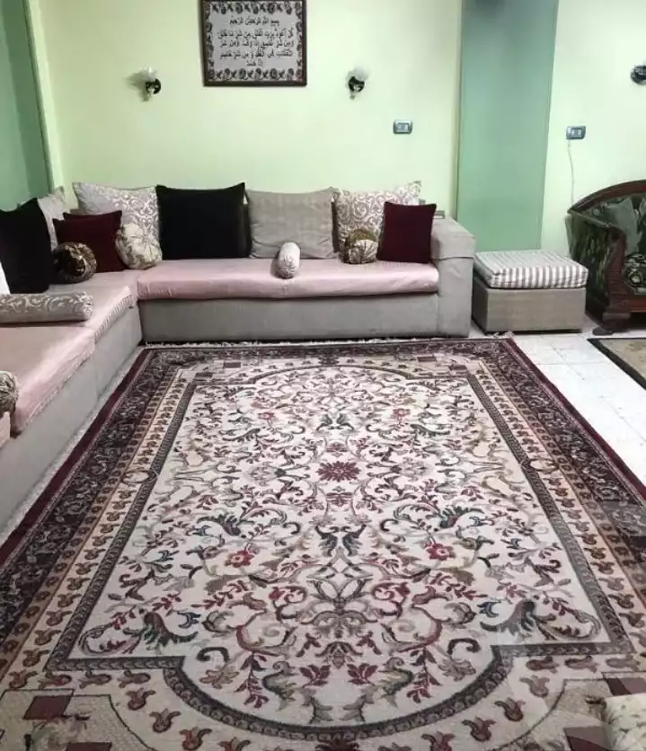 https://aqarmap.com.eg/en/listing/6153574-for-sale-cairo-ain-shams-el-naam