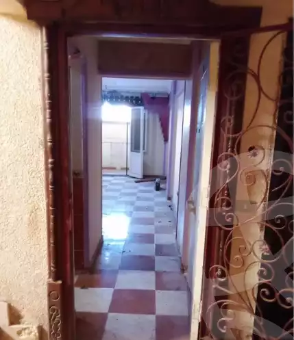 https://aqarmap.com.eg/en/listing/6160305-for-sale-alexandria-el-amreya