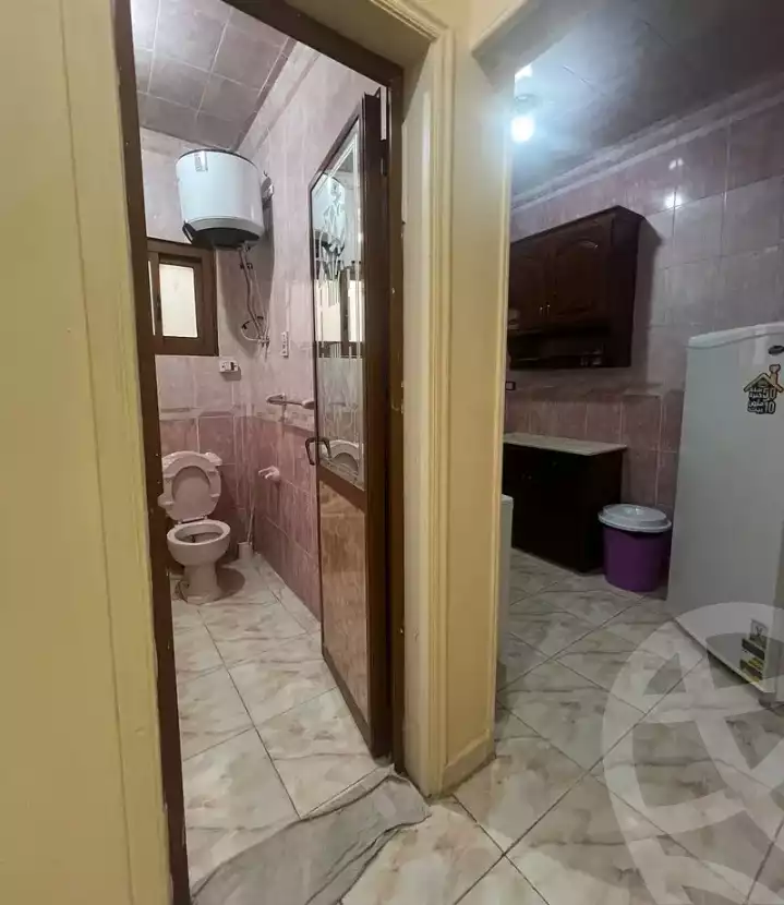 https://aqarmap.com.eg/ar/listing/6160729-for-rent-dakahlia-mansoura