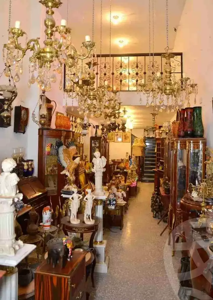 https://aqarmap.com.eg/ar/listing/6160902-for-sale-alexandria-ibrahimia-mamfeis-st