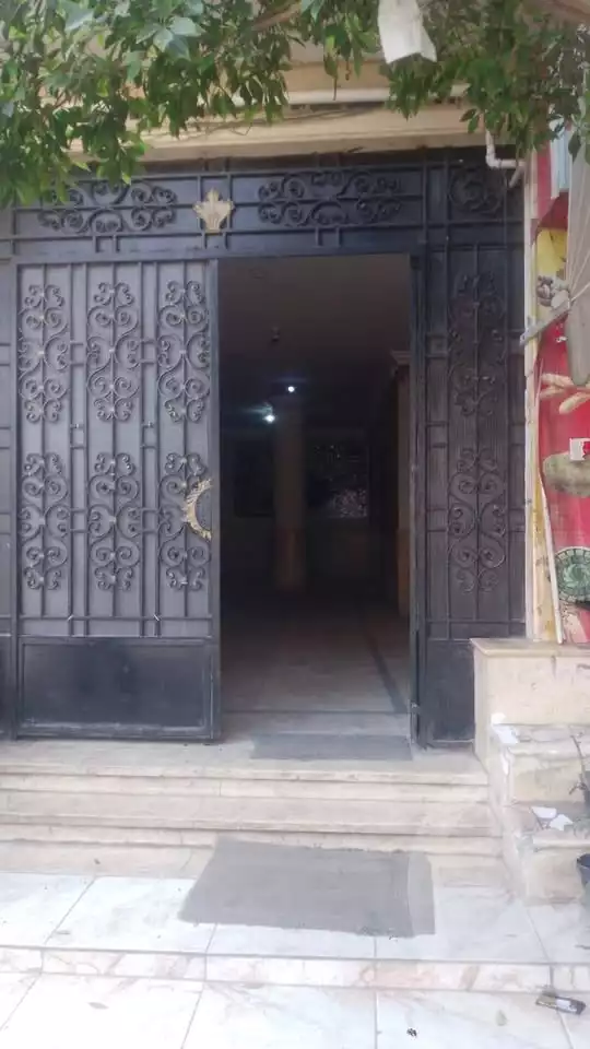 https://aqarmap.com.eg/ar/listing/6162638-for-sale-alexandria-el-mandara-nabawy-al-mohandes-st