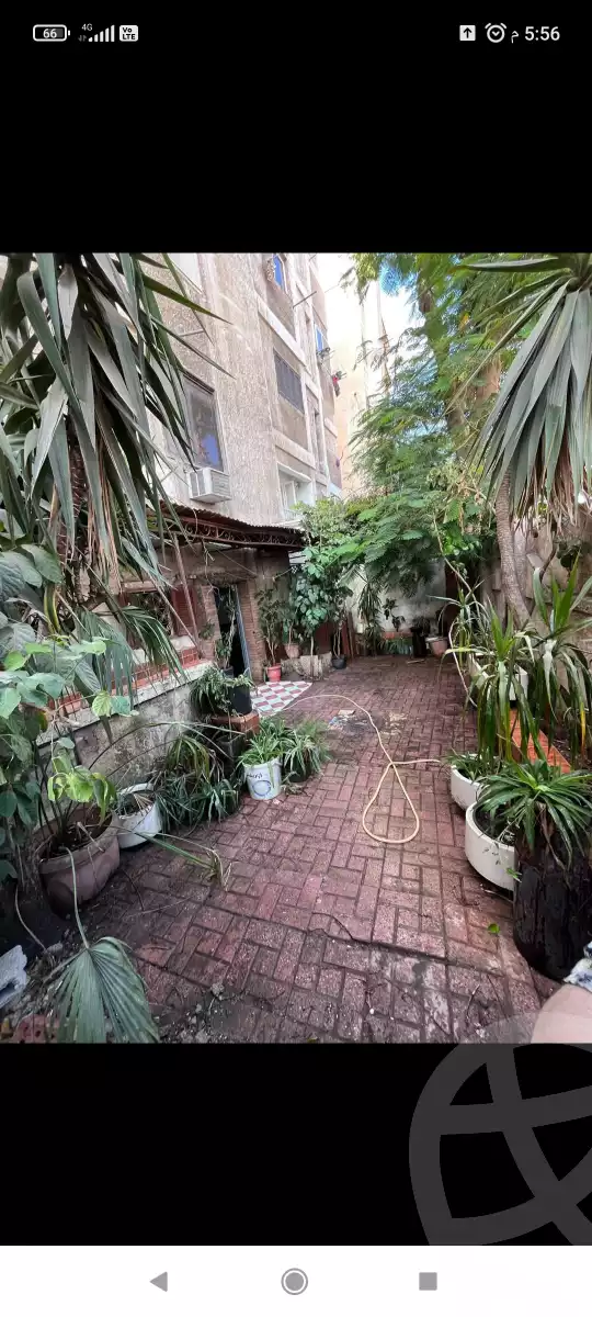 https://aqarmap.com.eg/en/listing/6163491-for-rent-alexandria-lm-mwr-lm-mwr-lshty