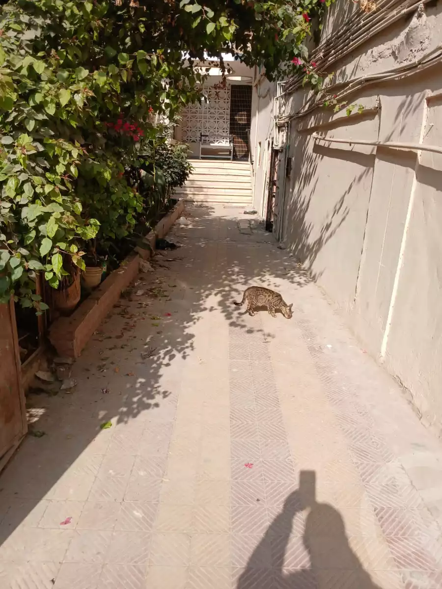 https://aqarmap.com.eg/ar/listing/6163687-for-sale-cairo-manial