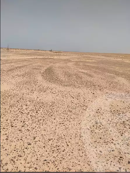 https://aqarmap.com.eg/en/listing/6164512-for-sale-beheira-wadi-el-natrun