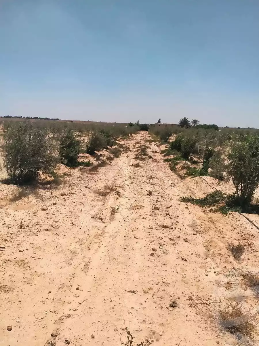 https://aqarmap.com.eg/en/listing/6164827-for-sale-beheira-wadi-el-natrun