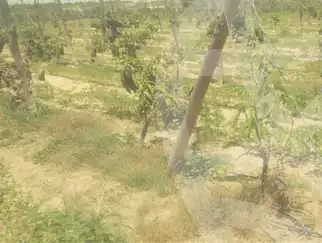 https://aqarmap.com.eg/en/listing/6164852-for-sale-beheira-wadi-el-natrun