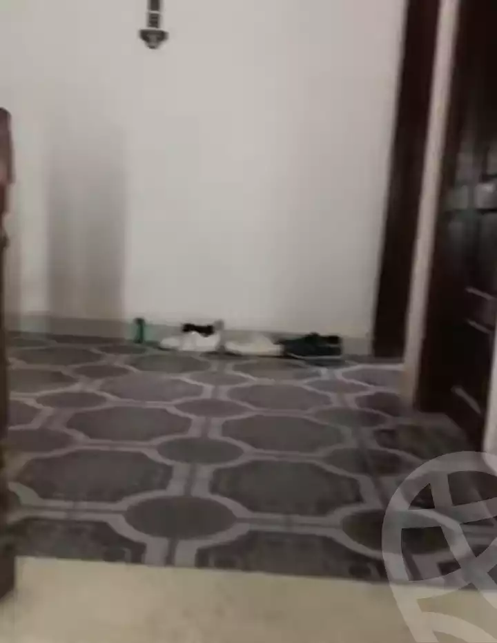 https://aqarmap.com.eg/en/listing/6167071-for-sale-cairo-el-haram-shareaa-khatem-el-morsalen