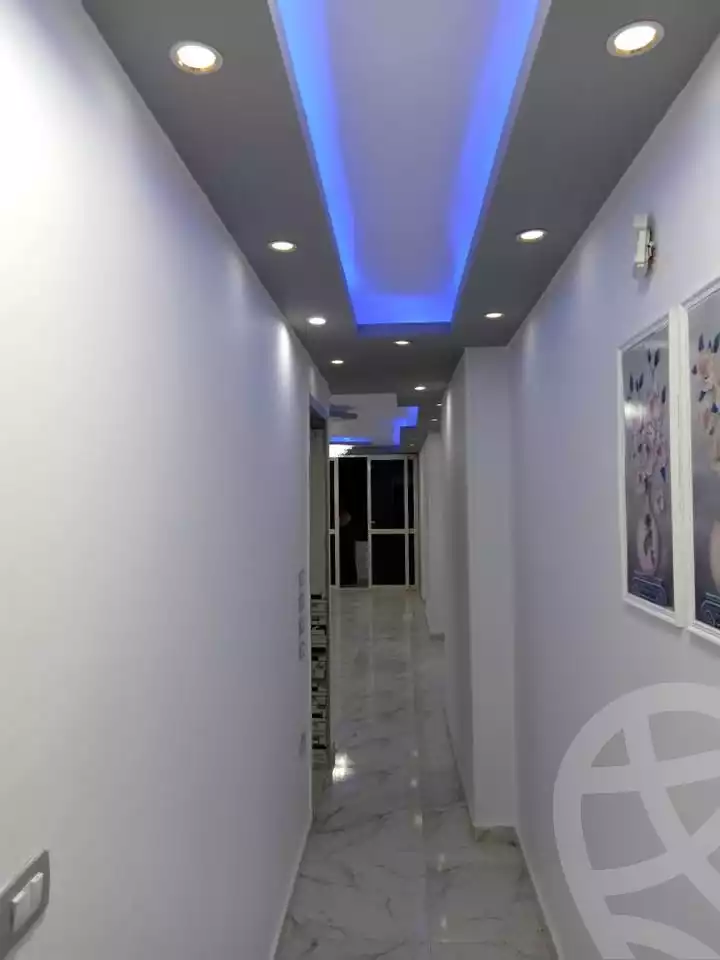 https://aqarmap.com.eg/en/listing/6169403-for-rent-cairo-faisal