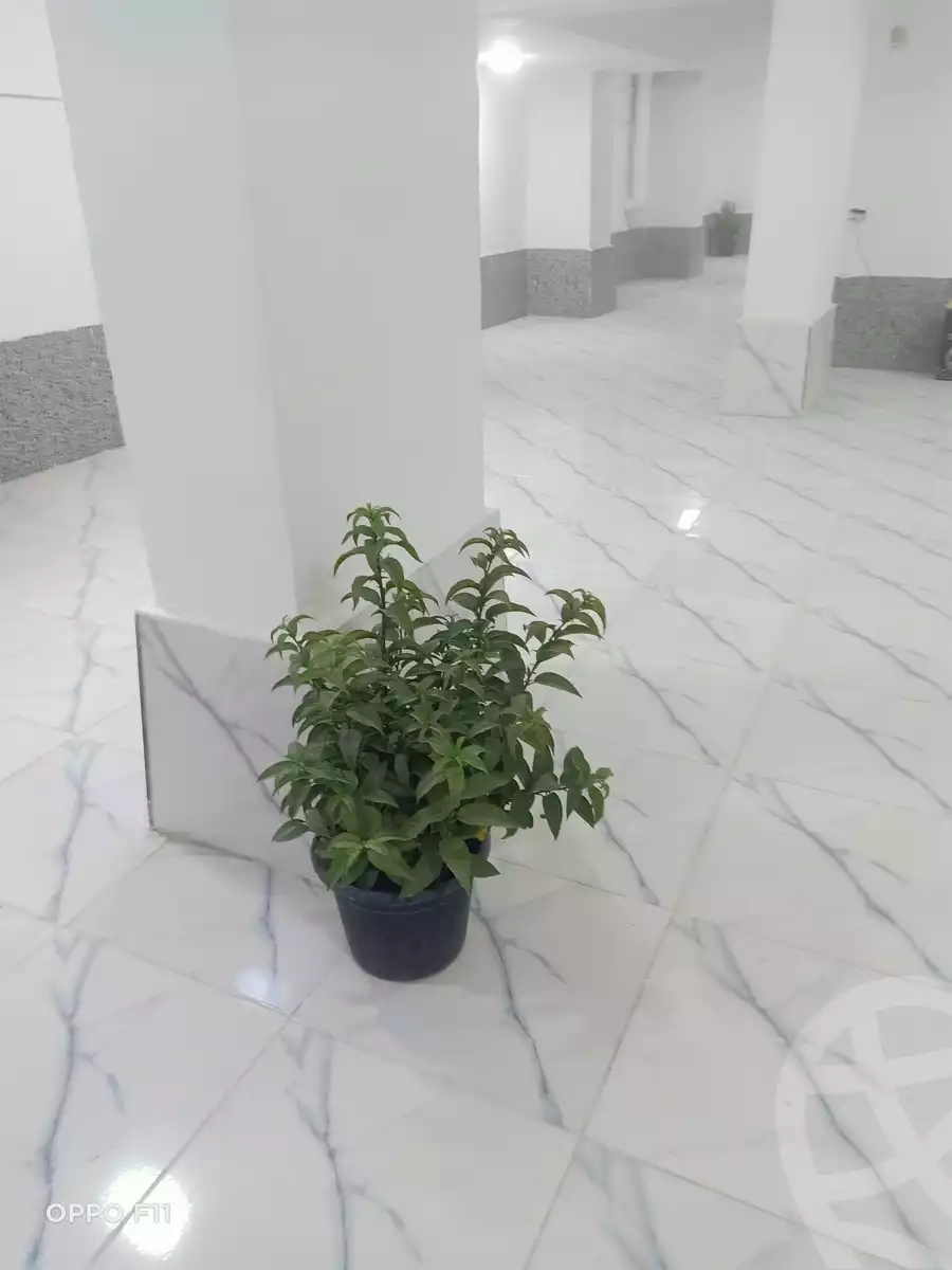 https://aqarmap.com.eg/ar/listing/6169506-for-sale-cairo-el-marg