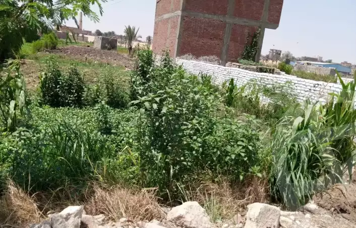 https://aqarmap.com.eg/en/listing/6172055-for-sale-cairo-el-haram-el-maryotya