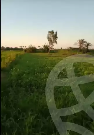 https://aqarmap.com.eg/en/listing/6174976-for-sale-damietta-mdyn-dmyt-el-gawahrh