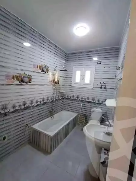 https://aqarmap.com.eg/en/listing/6187715-for-rent-sohag-sohag-city