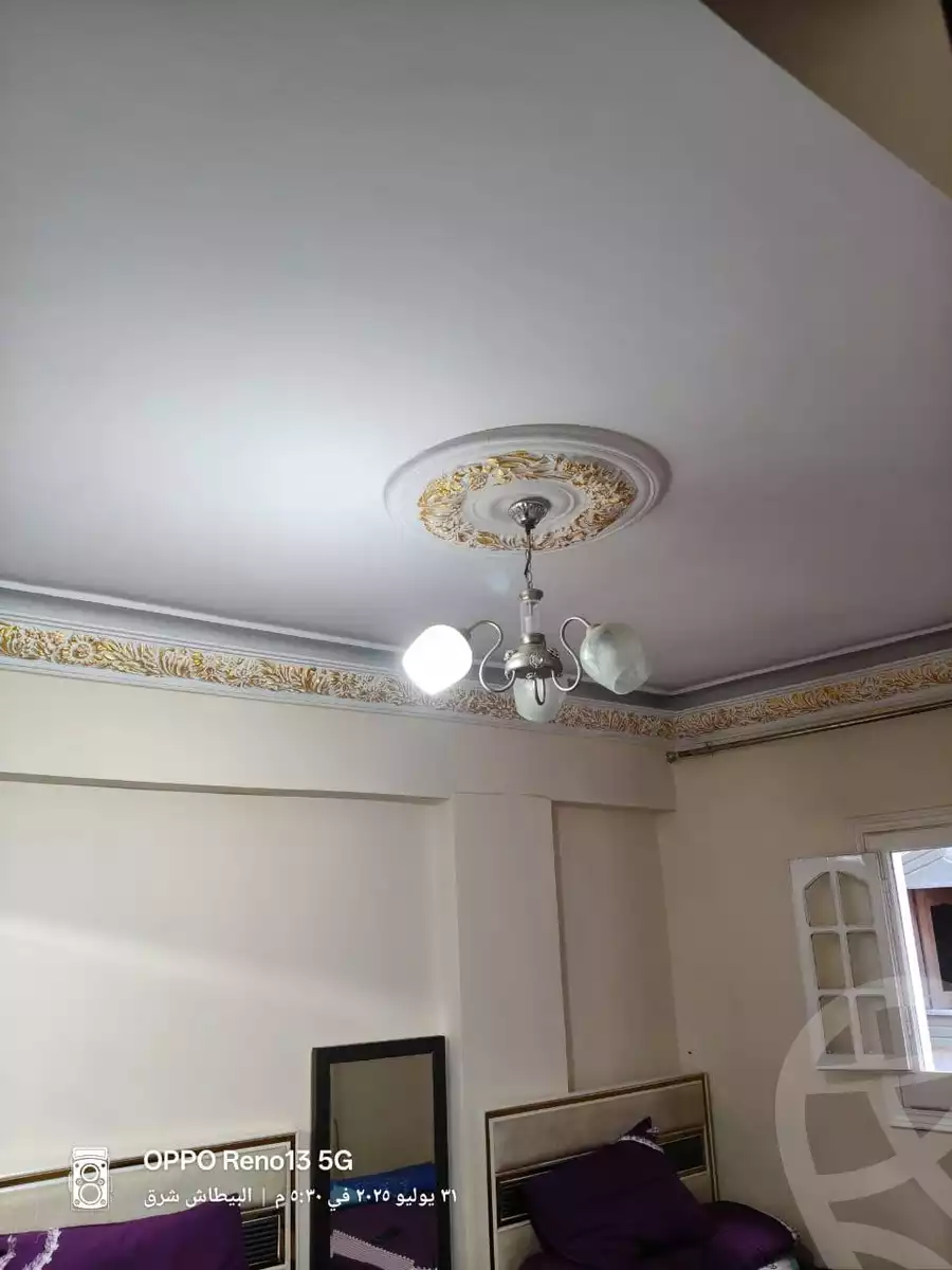 https://aqarmap.com.eg/ar/listing/6188189-for-sale-alexandria-l-jmy-lbytsh-el-hay-st