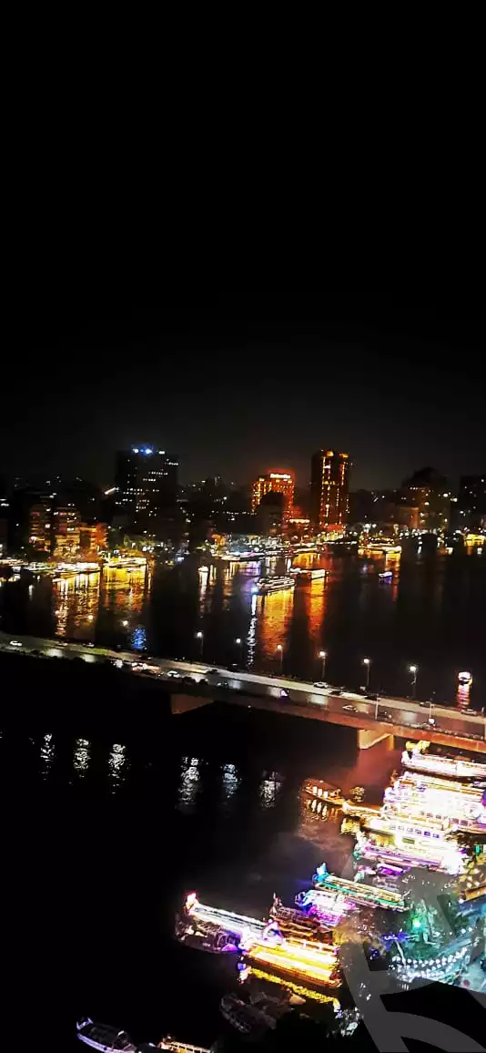 https://aqarmap.com.eg/en/listing/6193801-for-rent-cairo-manial-manial-st